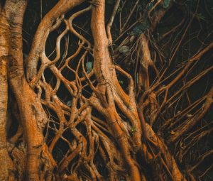 arun-geetha-viswanathan-9btCiUMQat4-unsplash